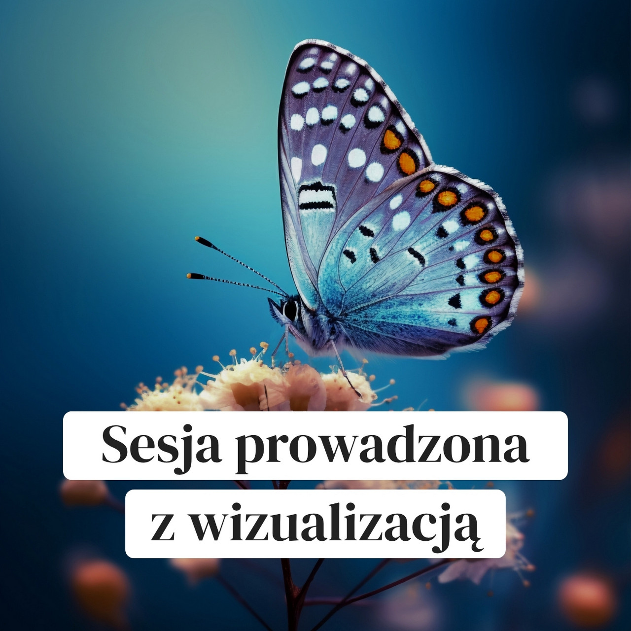 dorota-sesja-prowadzona-z-wizualizacją-light Sesja prowadzona z wizualizacją - obrazek 1