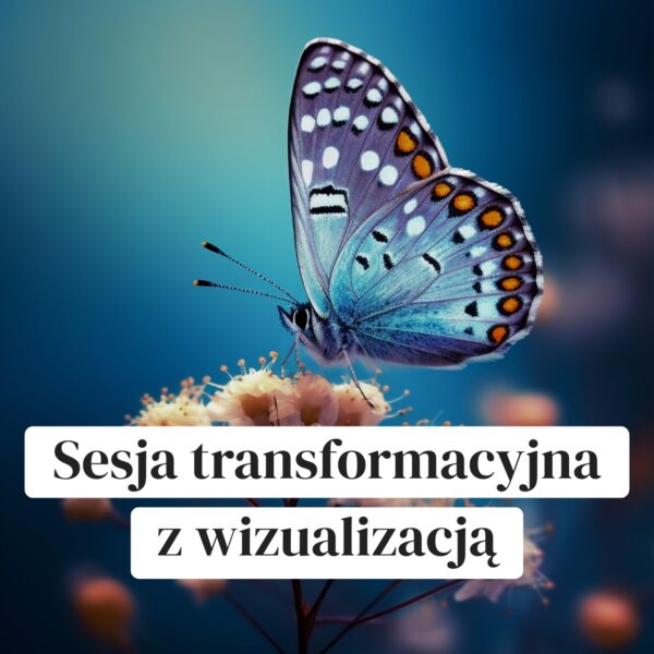 Sesja transformacyjna z wizualizacją - obrazek 1